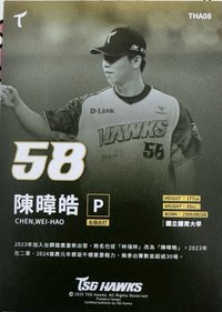 2024台鋼雄鷹 元年球員卡