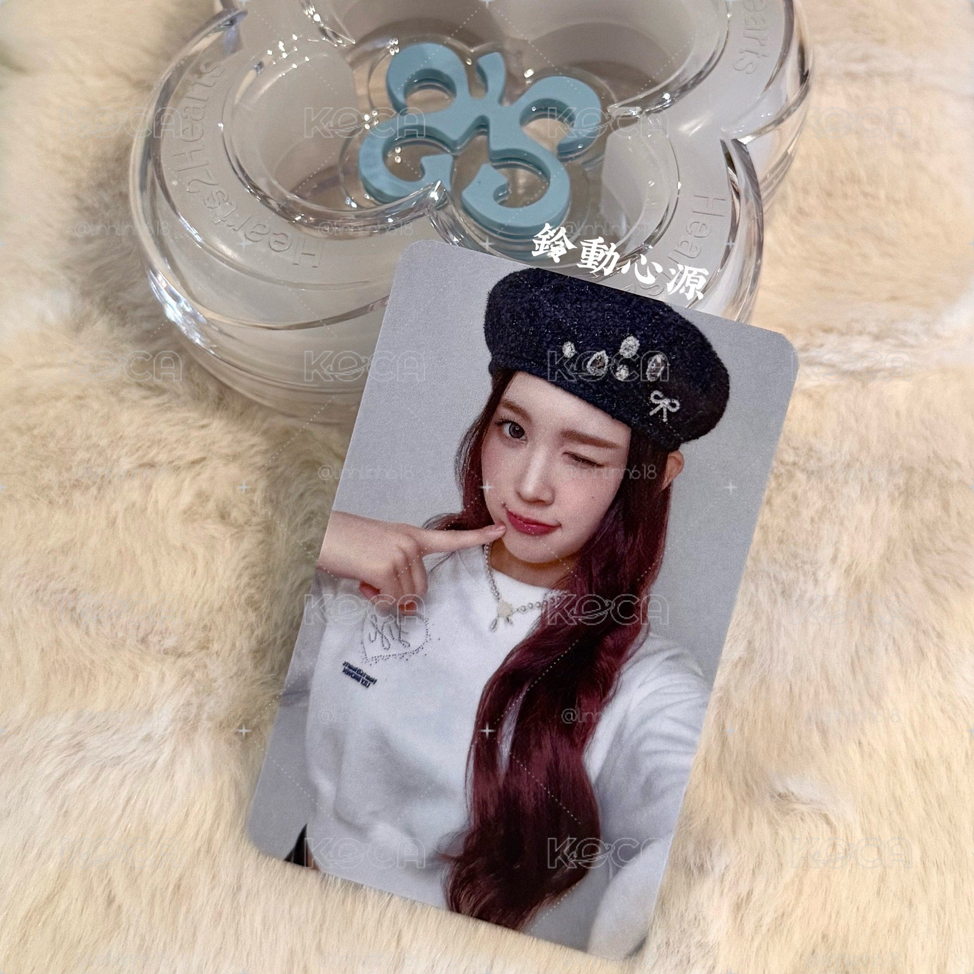 ［貴婦包裝］Ana lily brown代言卡