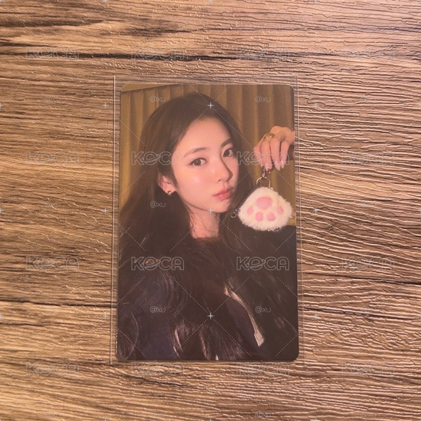 現貨｜Anna貓爪卡