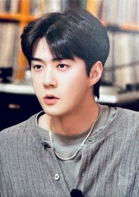 爬梯子5 上海快閃 明信片 