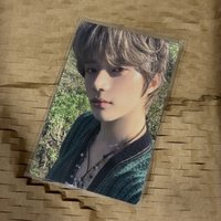 迷五 Daydream圭