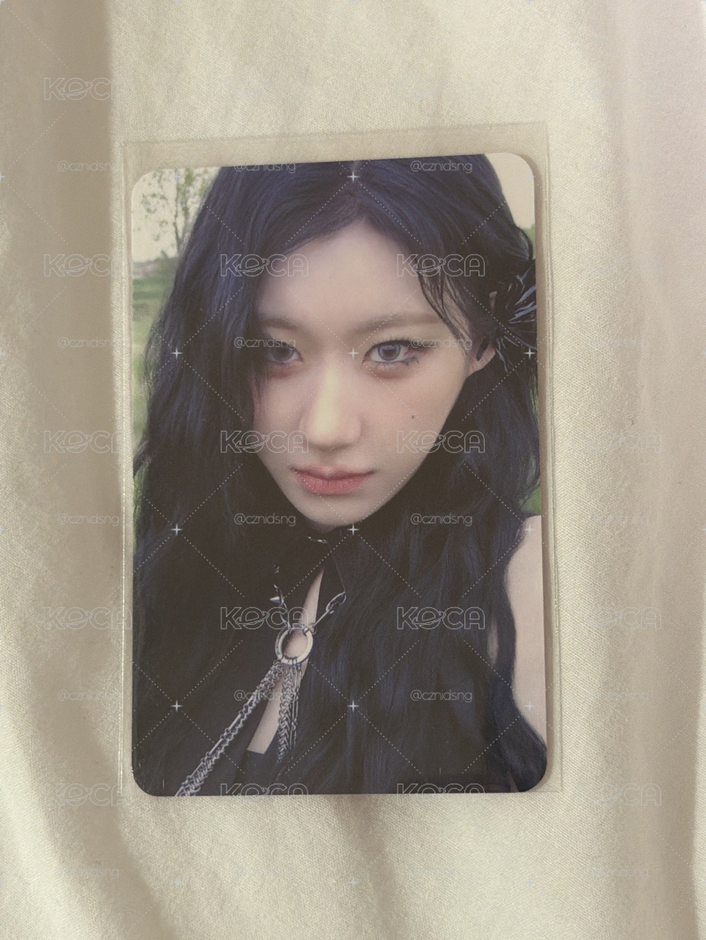 彩領特典