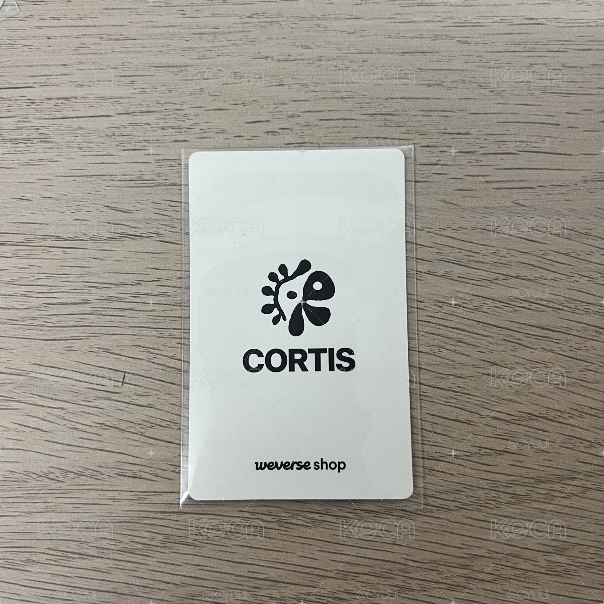 迷一 wvs 預售 特典卡 