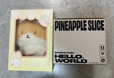 20cm特來騎 含綁