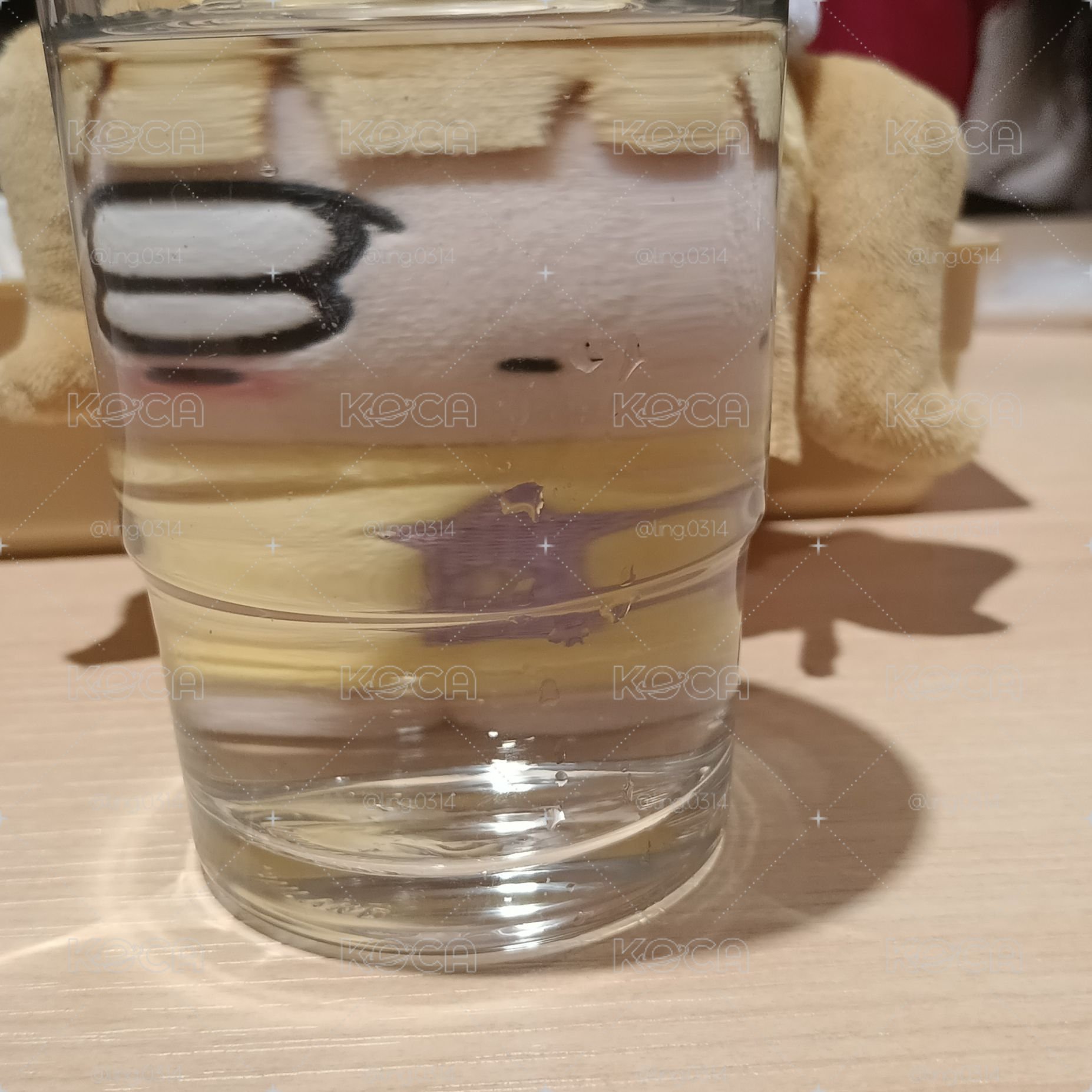 女團小卡福袋