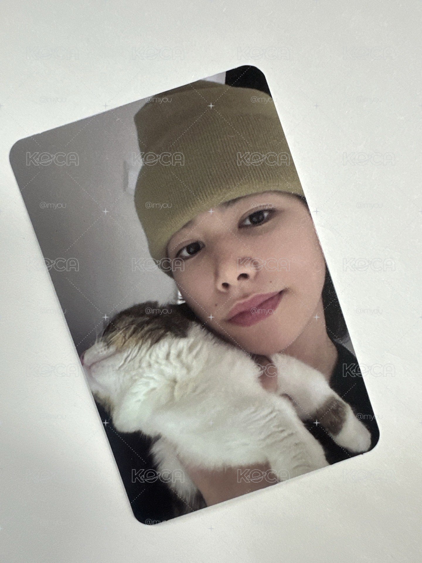 練習日專卡 路易貓咪卡