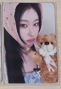 小熊領(可單出)