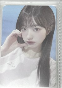 eider2.0（藍底）