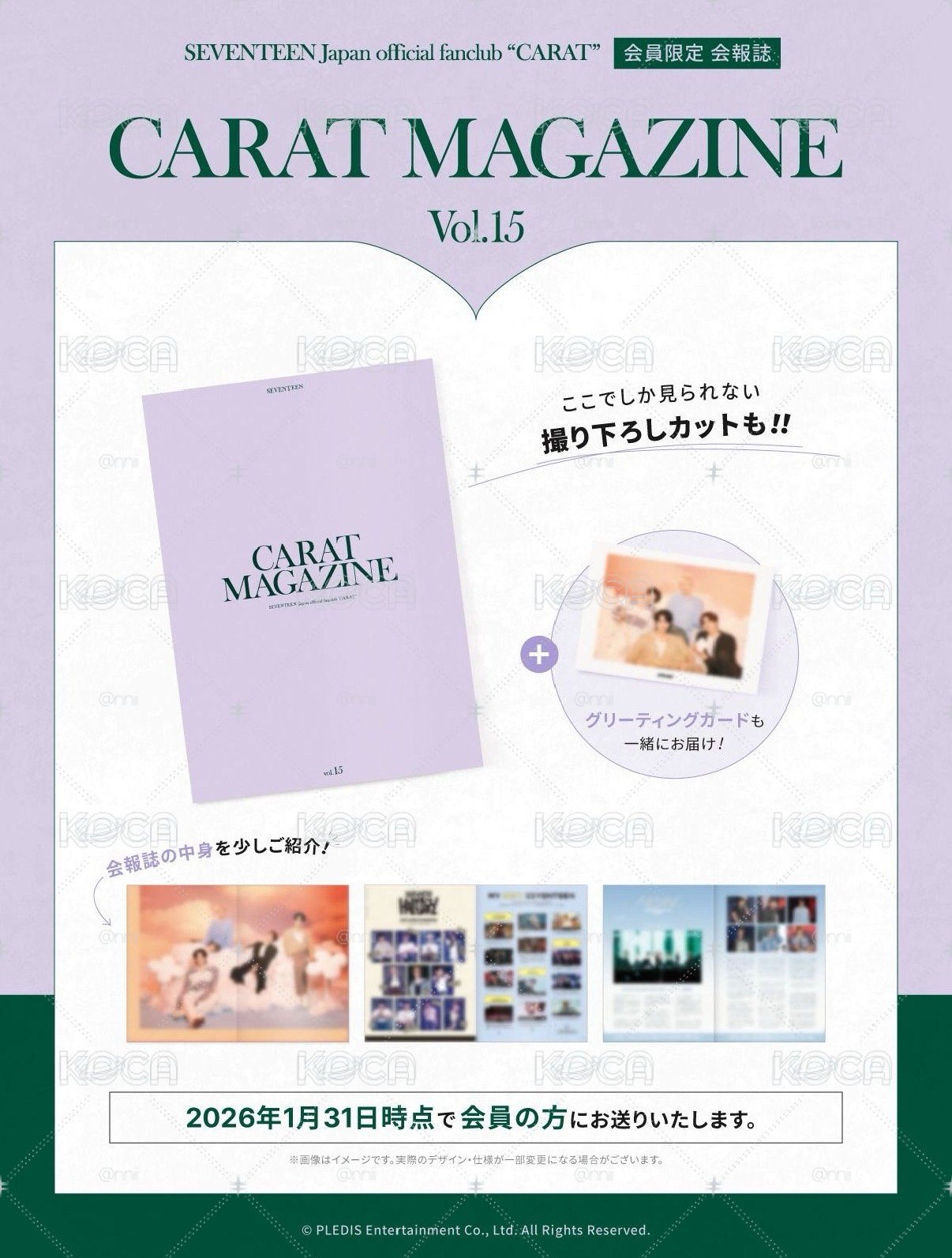 SEVENTEEN 日本FC vol15會刊 （96line）