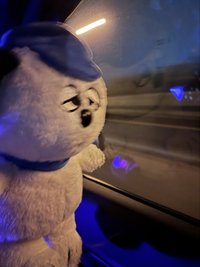 歐拉胖呆