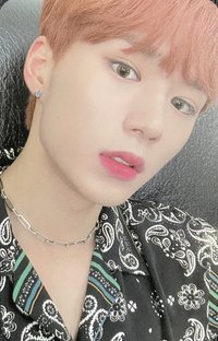 Goodbye 1THE9 專輯卡 