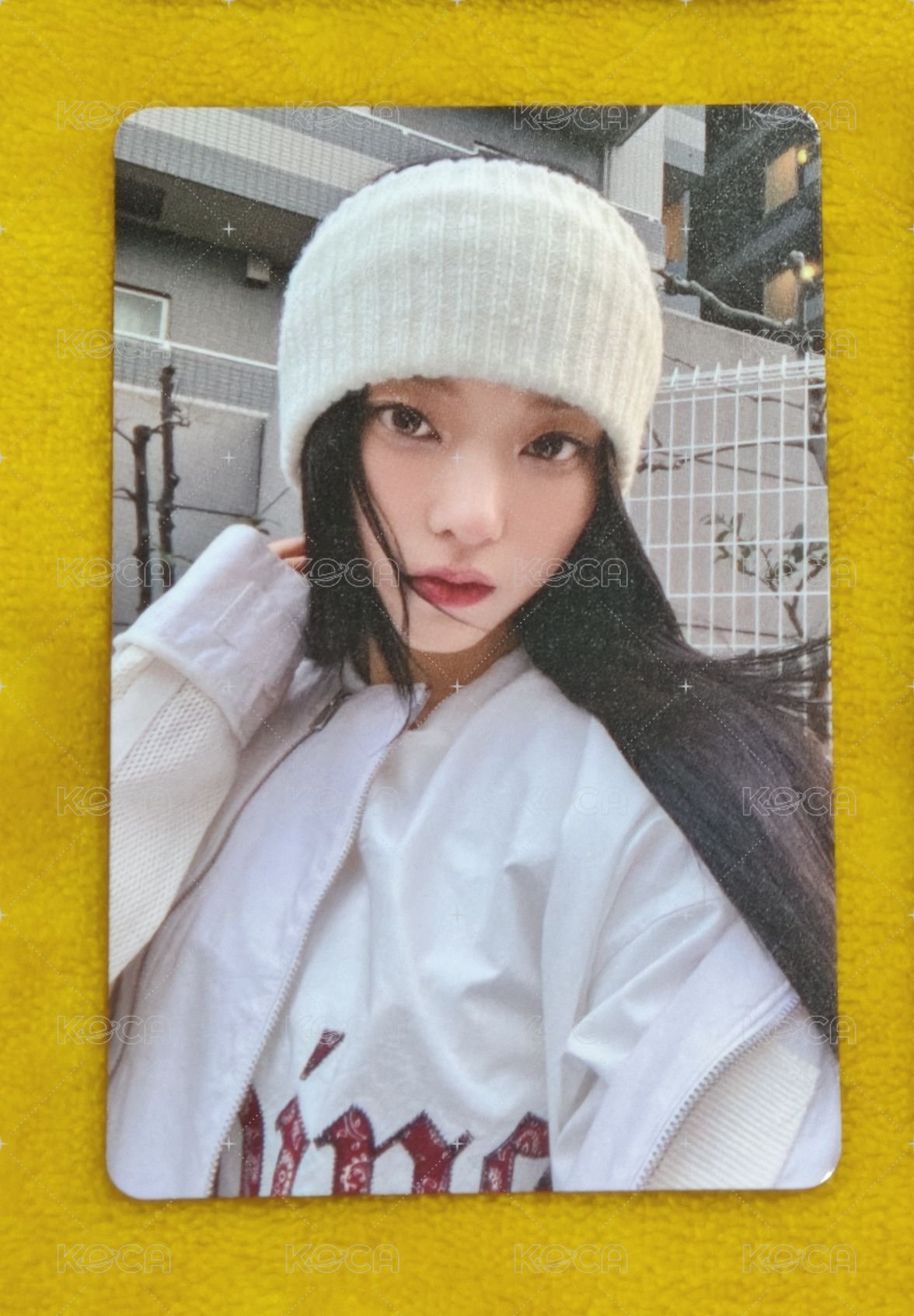 Haerin 貓貓