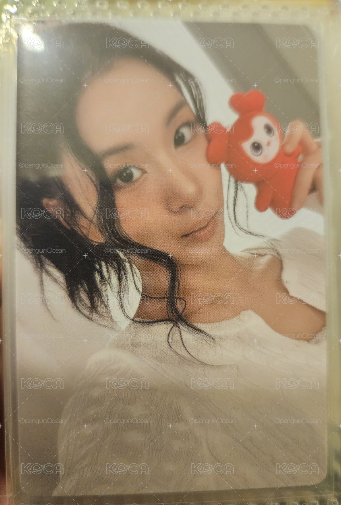 五期會員禮 彩