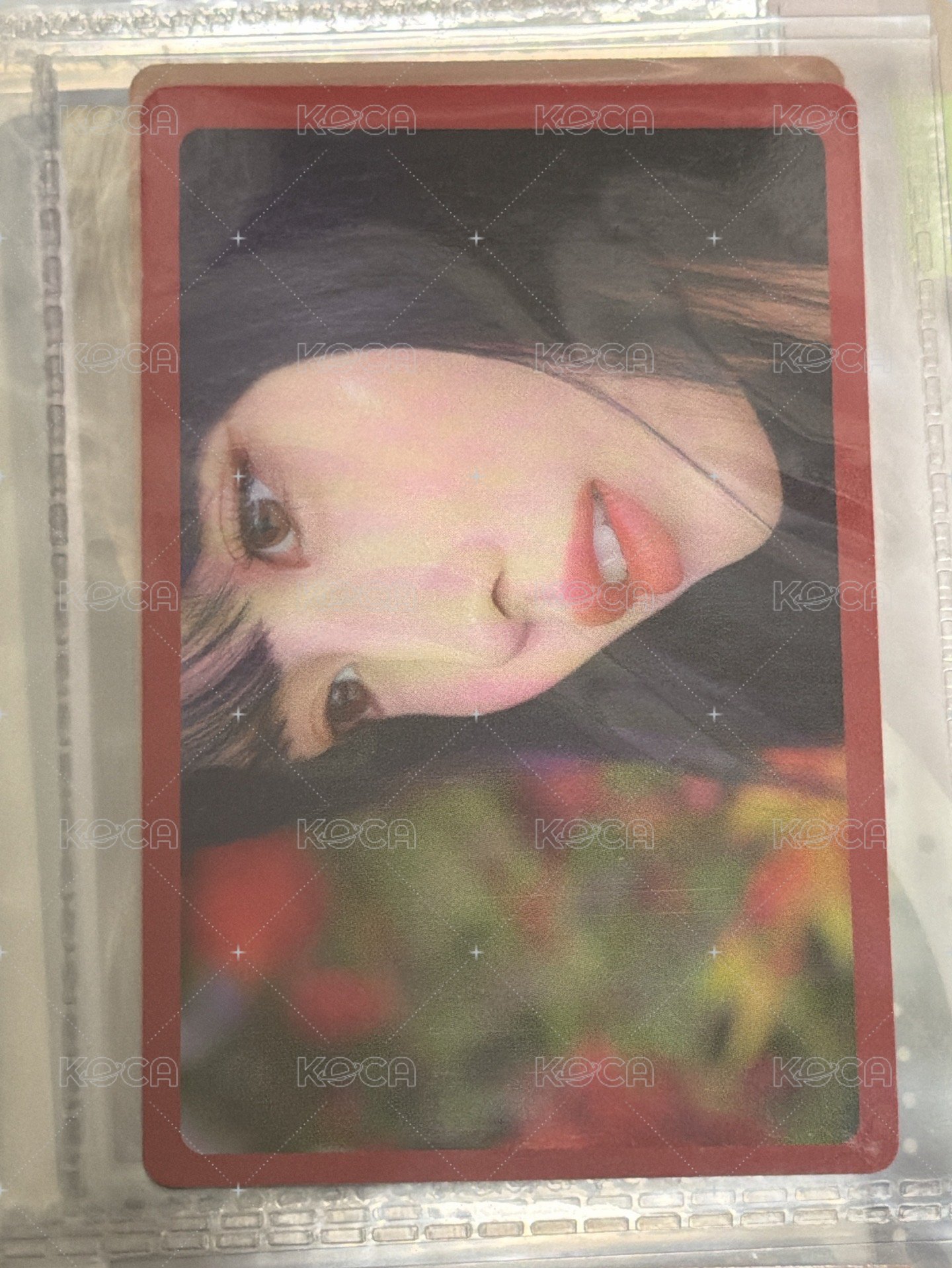 正規二預購禮2
