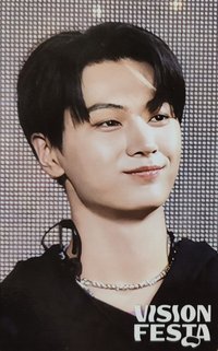 VISION FESTA 入場卡 / 場限卡 