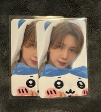 小八尚/1張