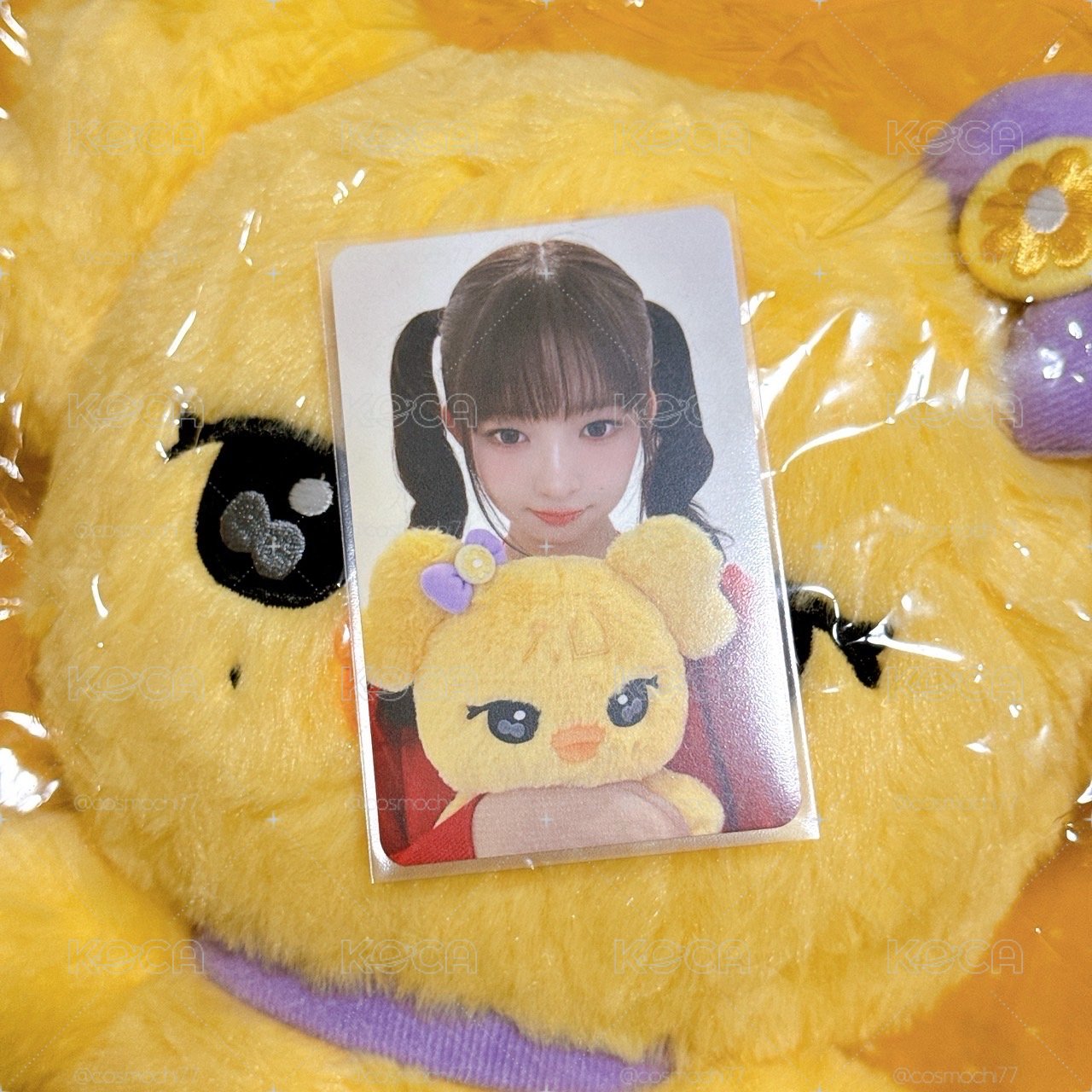  Ive MINIVE Naori 怜娃+滿額卡