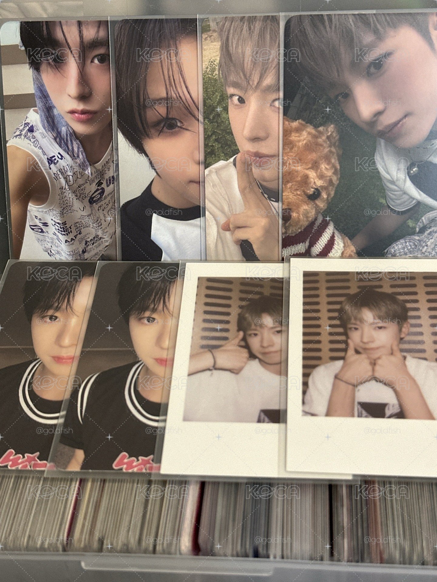 NCT WISH Yushi小盤