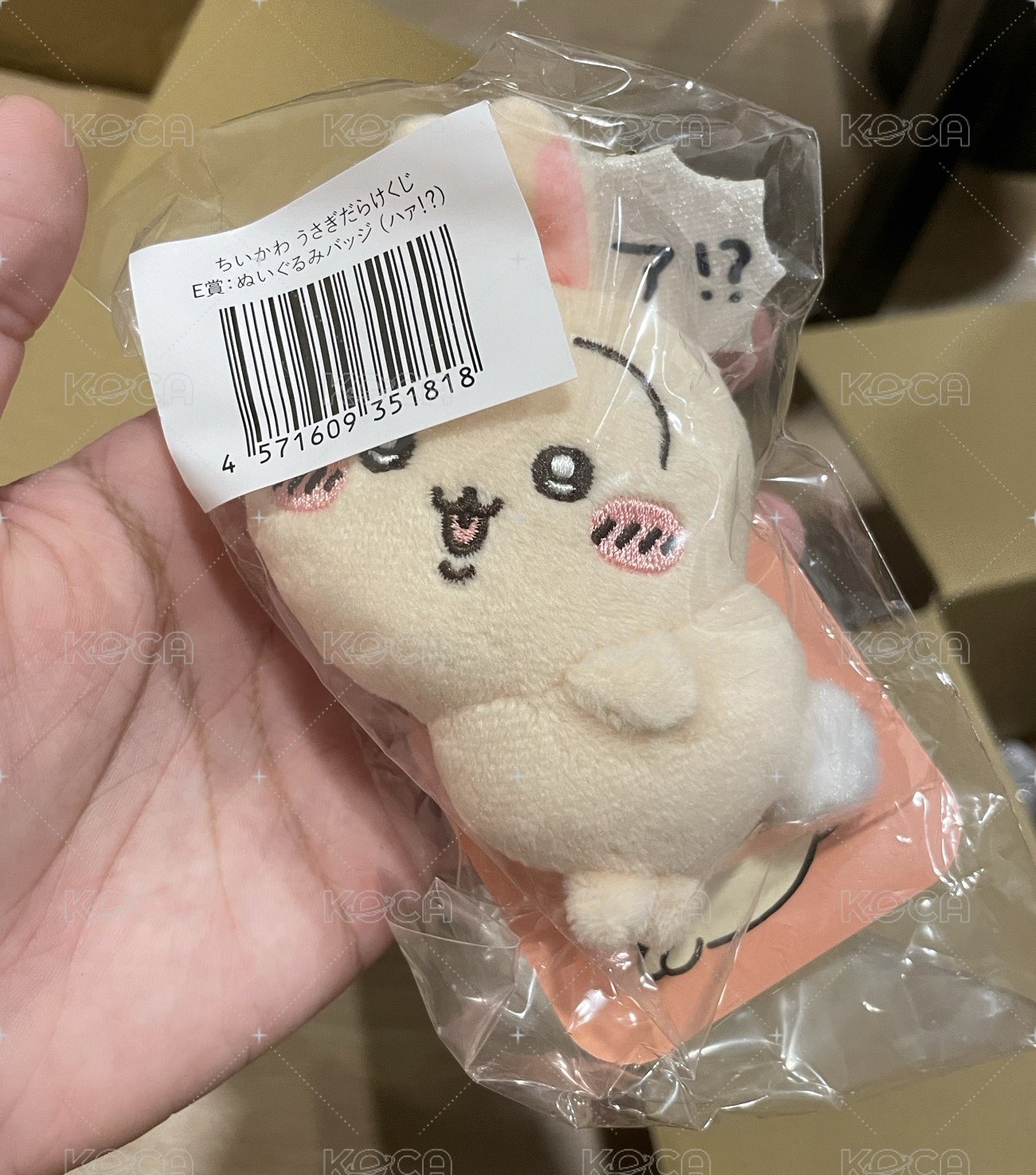 翹屁股兔