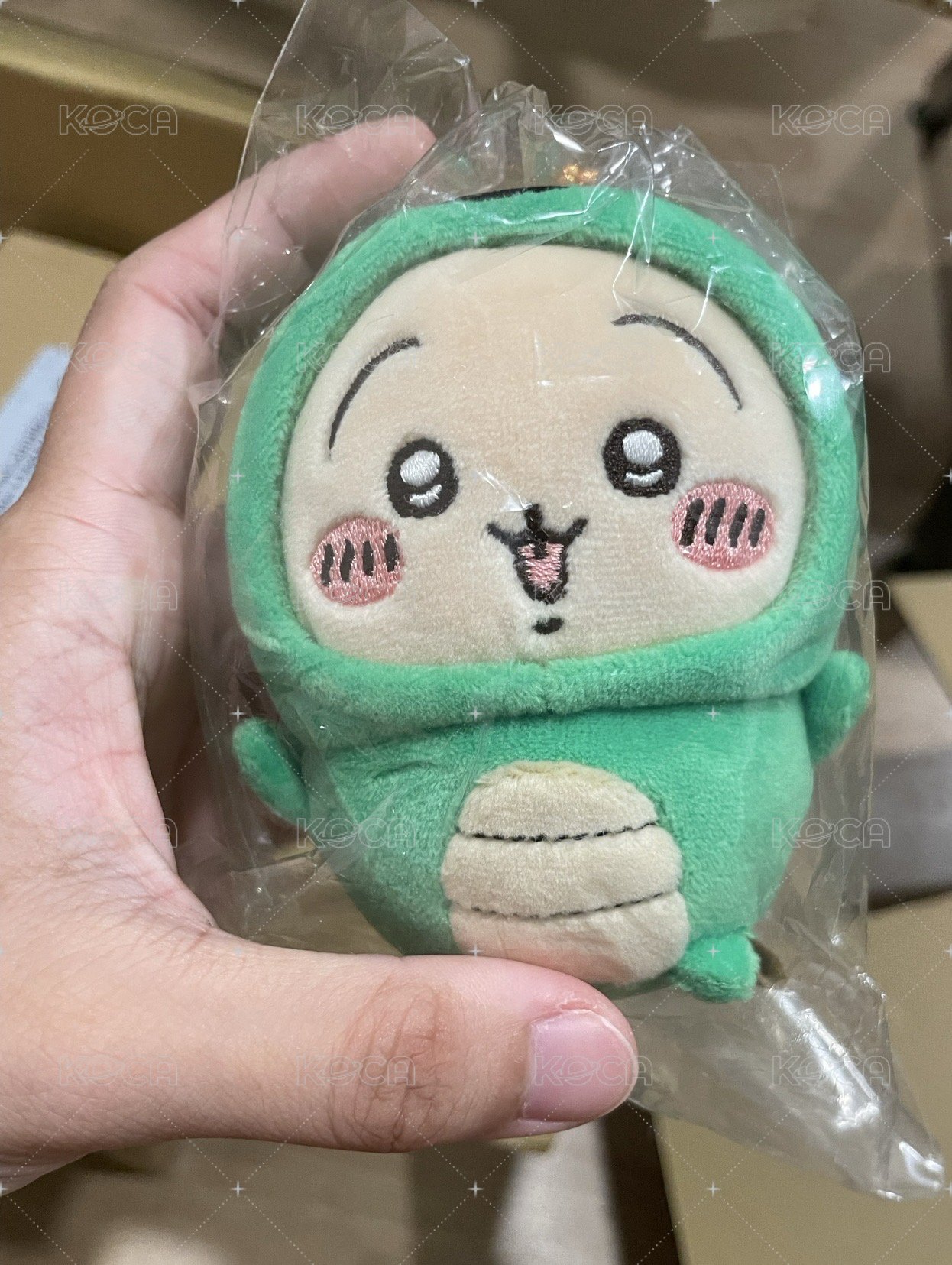 恐龍兔