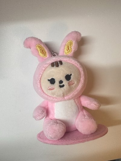 1元起標 SEVENTEEN MINITEEN 淨漢兔拉米磁吸坐娃