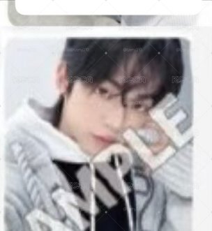 迷五 日咖單封特典卡