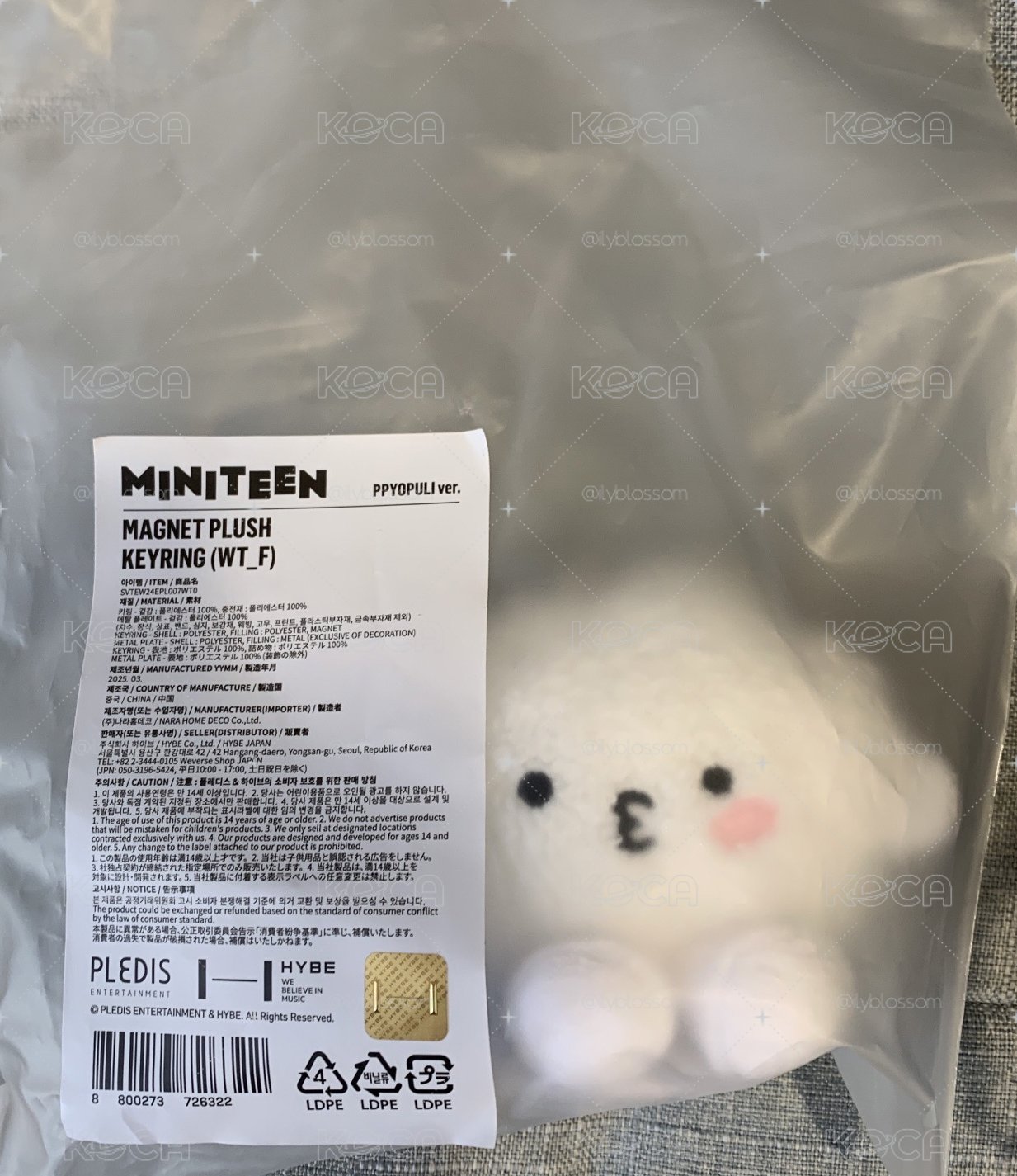 miniteen 勳坐娃 一販版 米飯娃 盤出