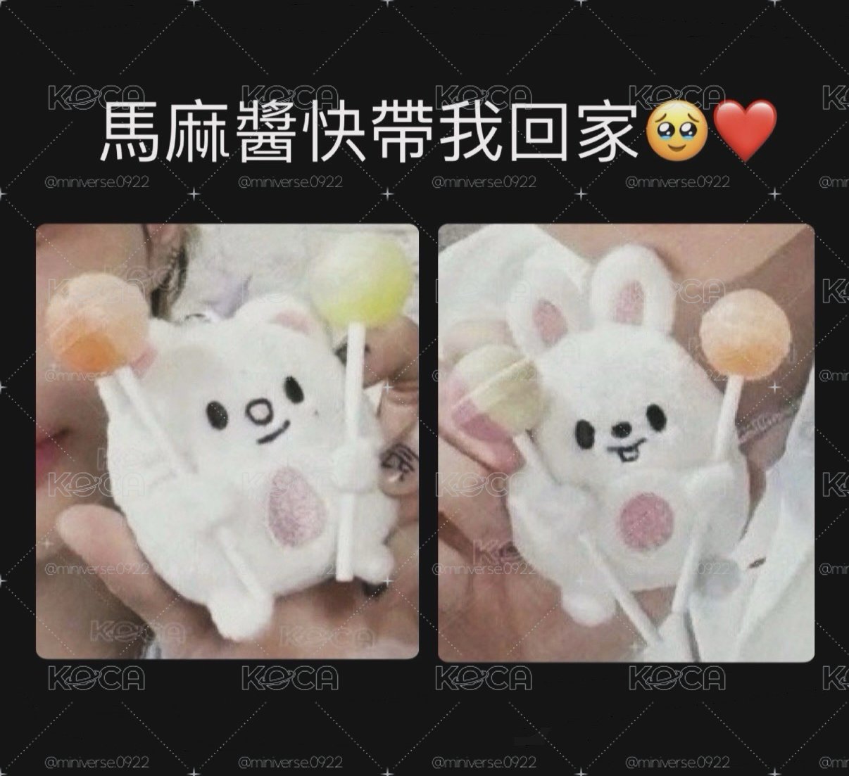 動物方程式 聯名娃&滿額卡（直出）