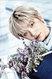 迷五 快閃店 明信片 