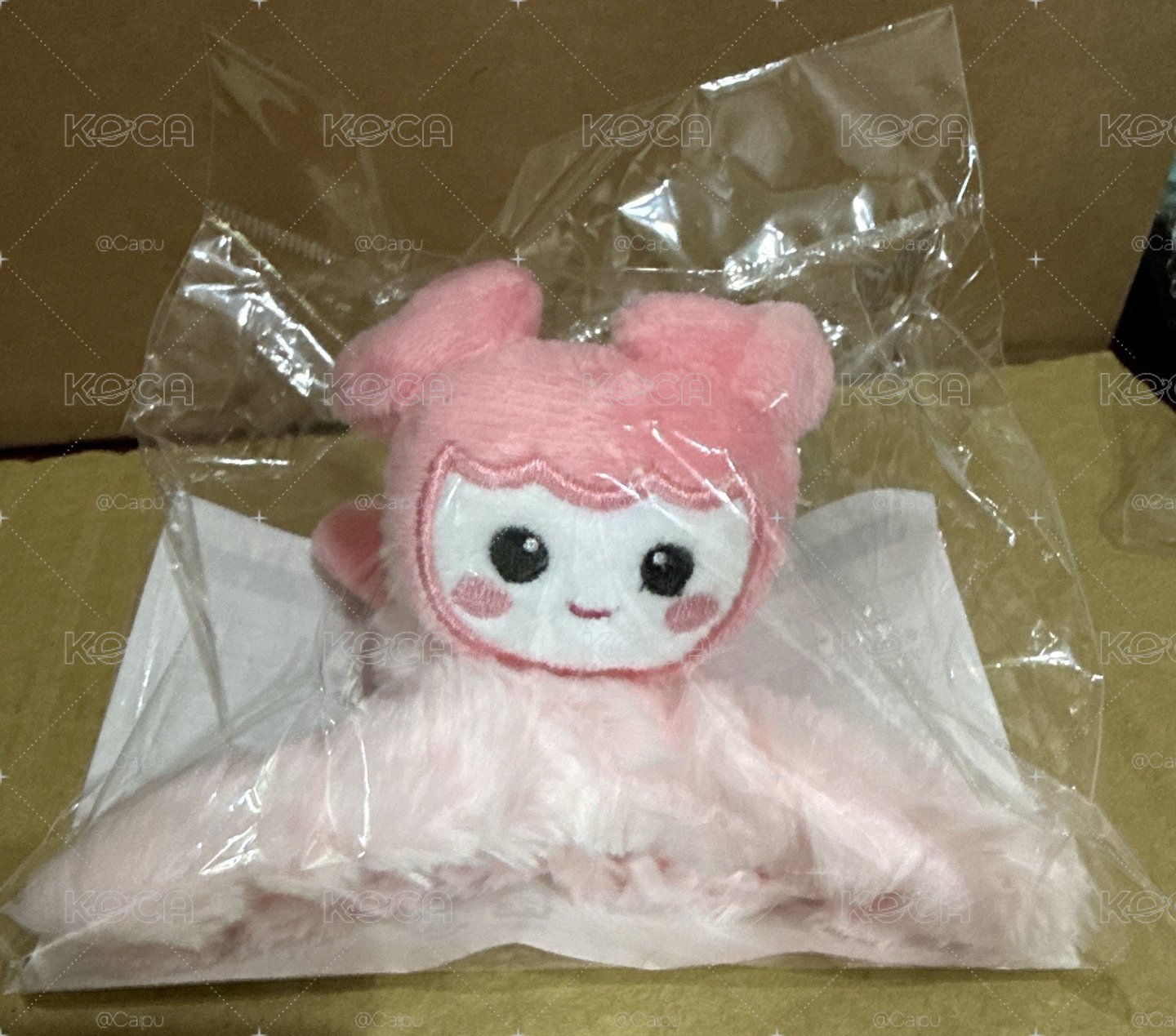 momo鯊魚夾 現貨