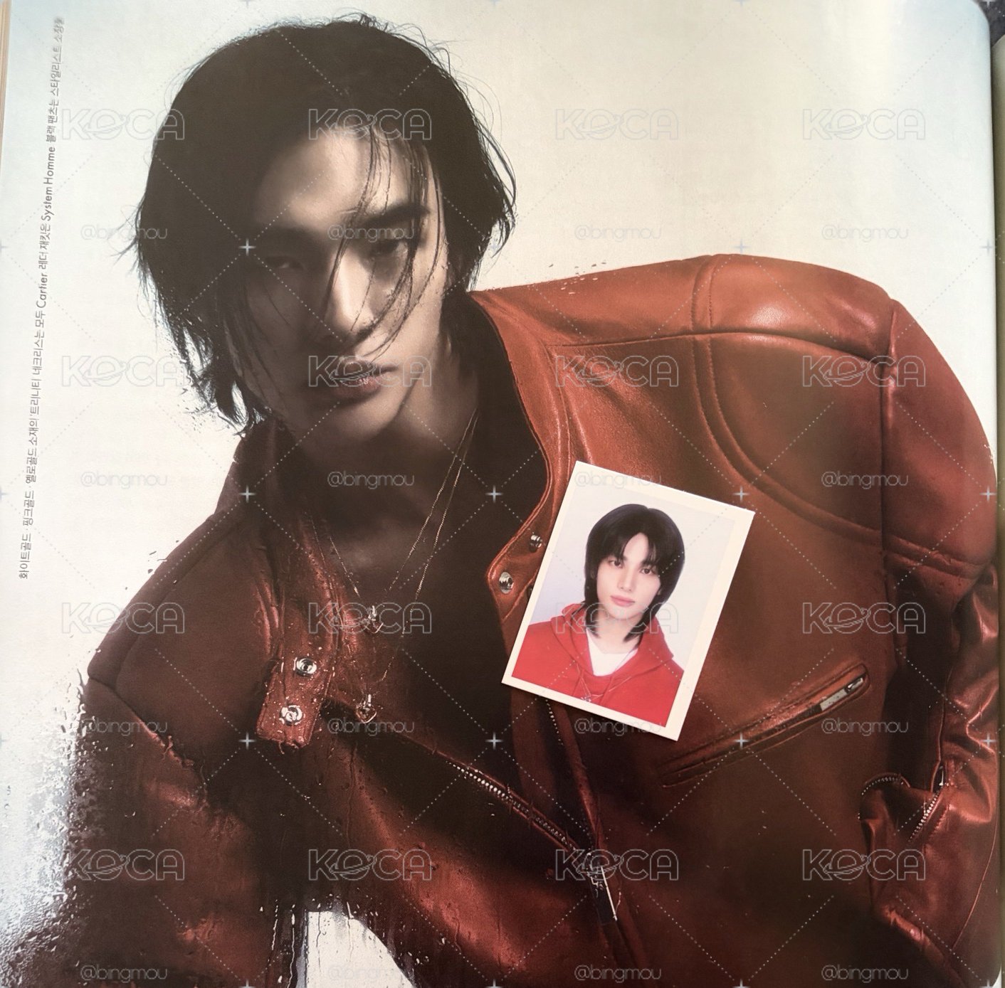 25年年曆 辰證件照
