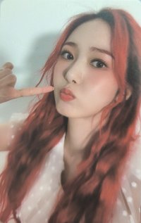 迷九 專輯卡 