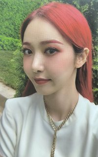 迷九 專輯卡 
