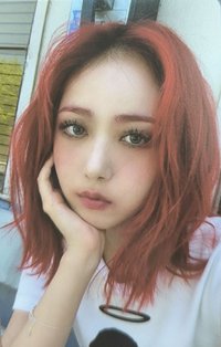 迷九 專輯卡 
