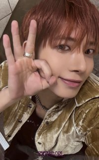 迷八 wvs pb版 直播卡 