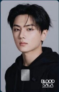 BLOOD SAGA NAMANE 交通卡 