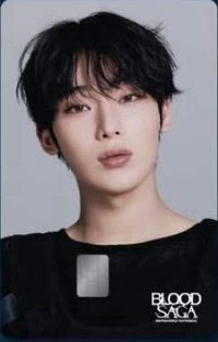 BLOOD SAGA NAMANE 交通卡 