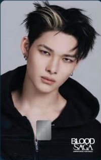 BLOOD SAGA NAMANE 交通卡 