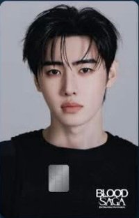 BLOOD SAGA NAMANE 交通卡 