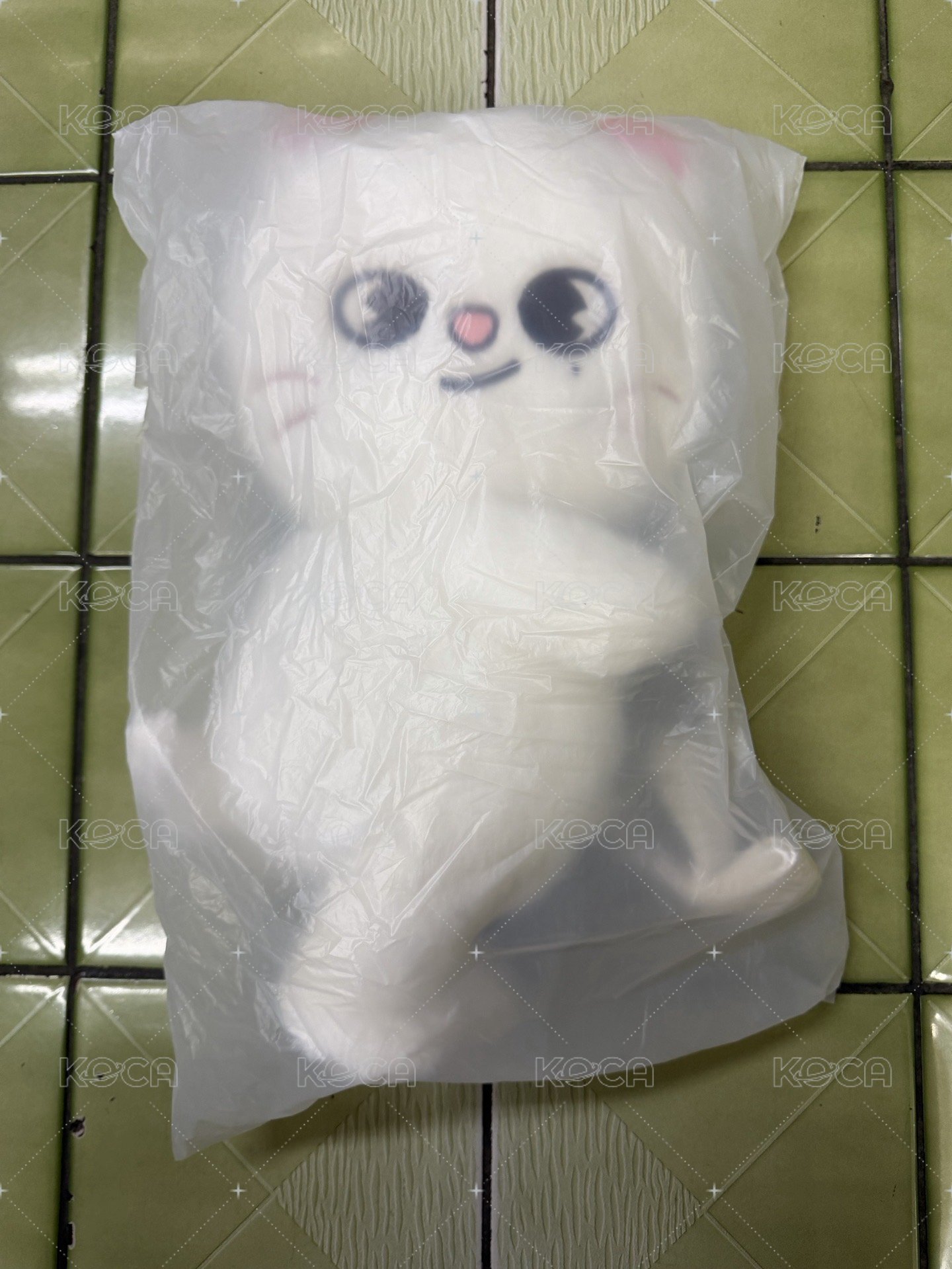側背娃辰