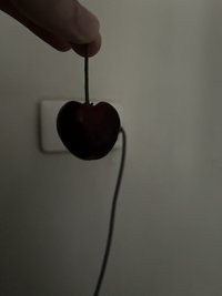 檸檬塔加酸