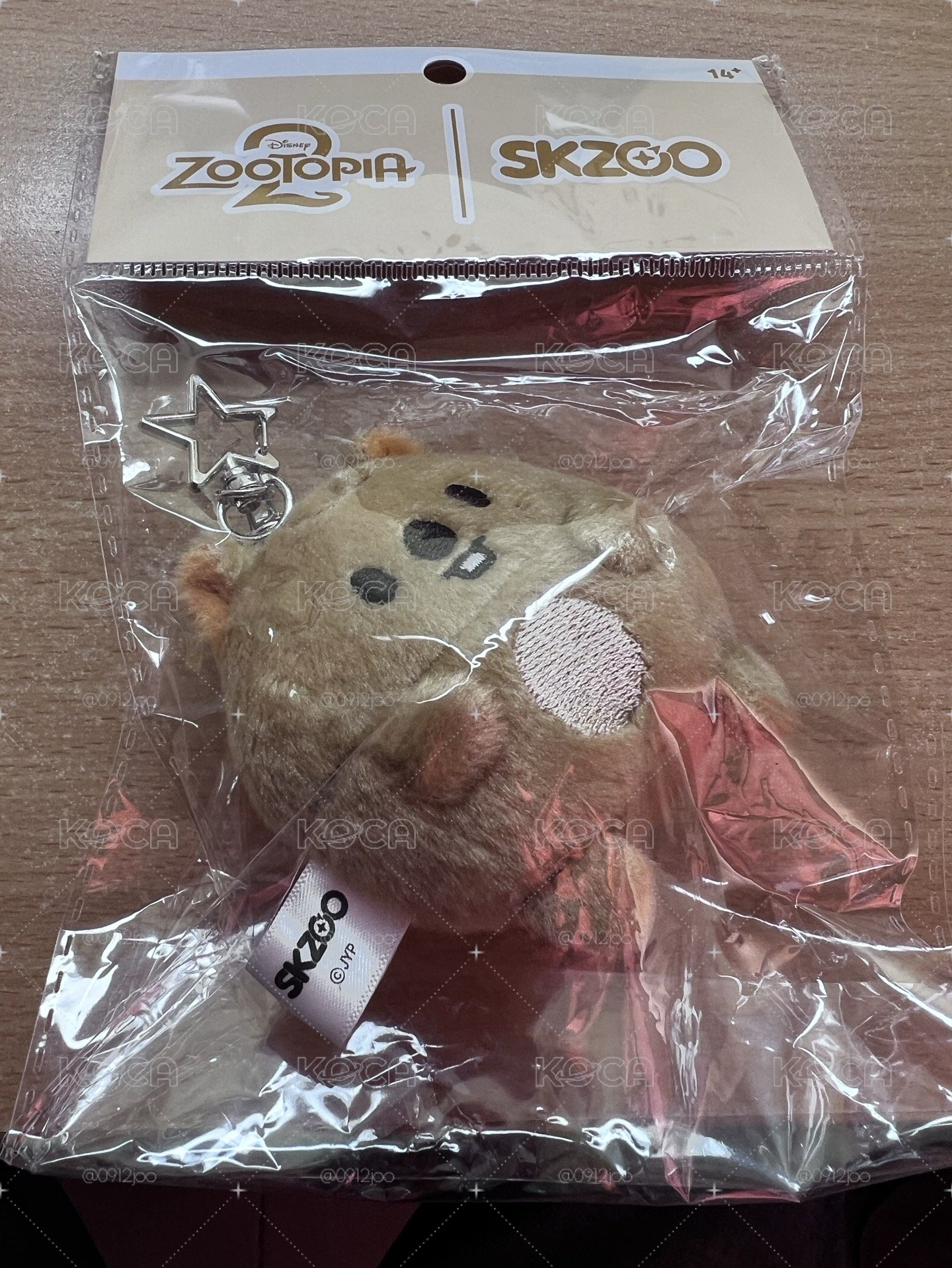 動物方程式闊卡