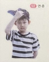 迷八 MELON音源認證 貼紙 