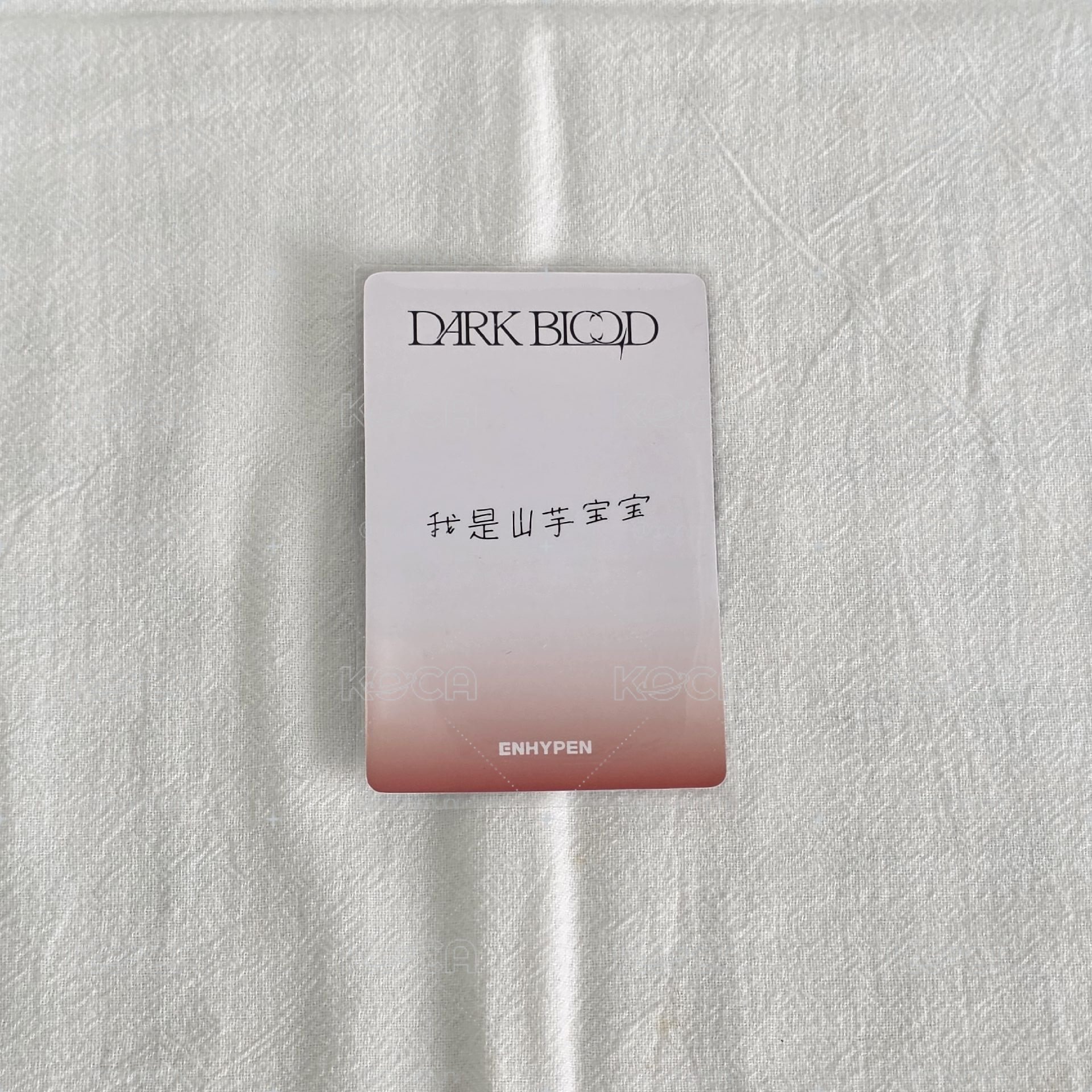善禹 迷四一直娛2.0
