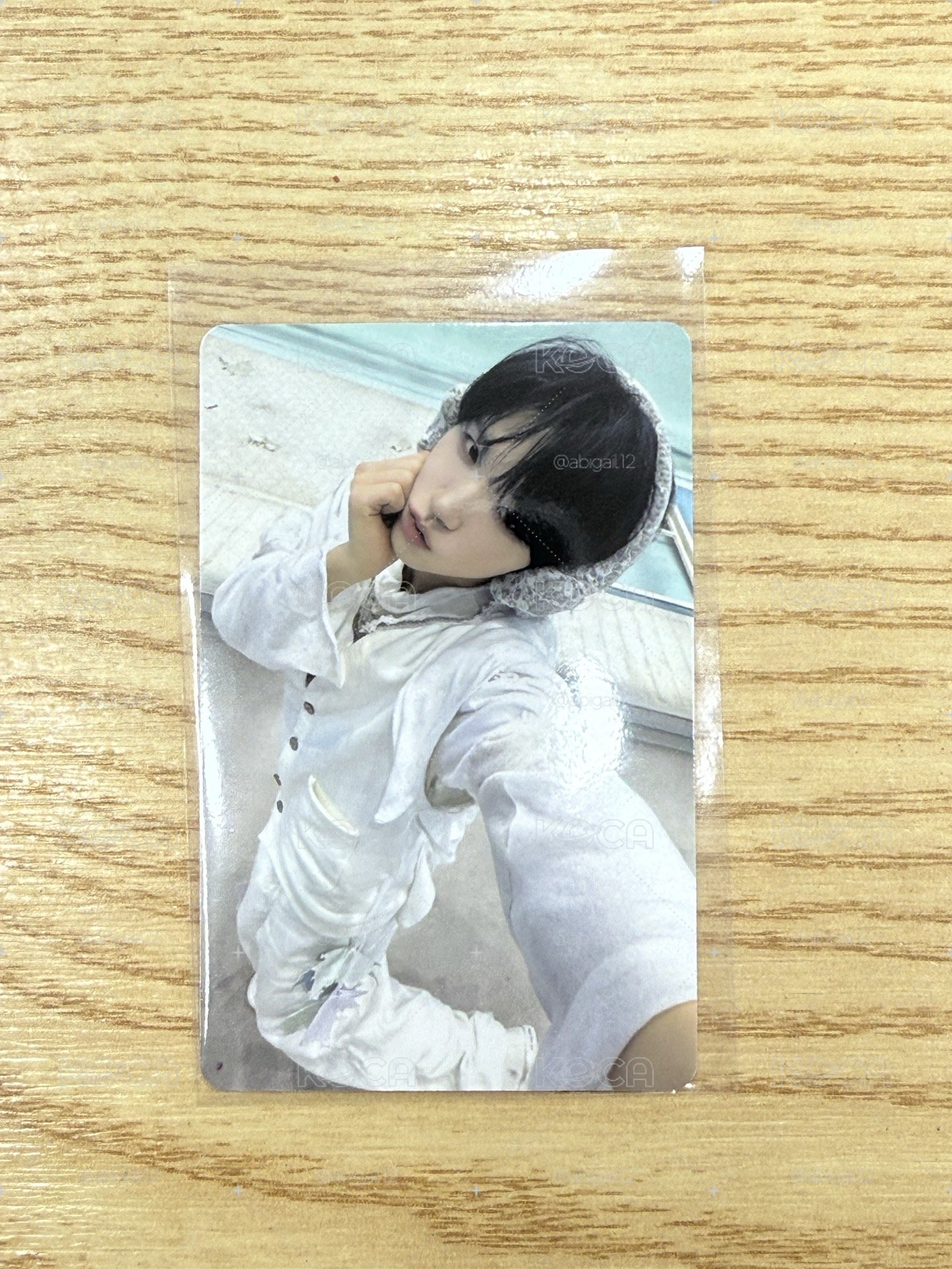 樹滿額 現貨