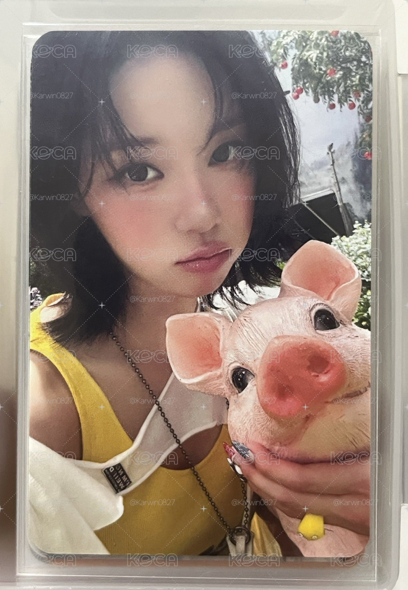 rm ms小豬冬