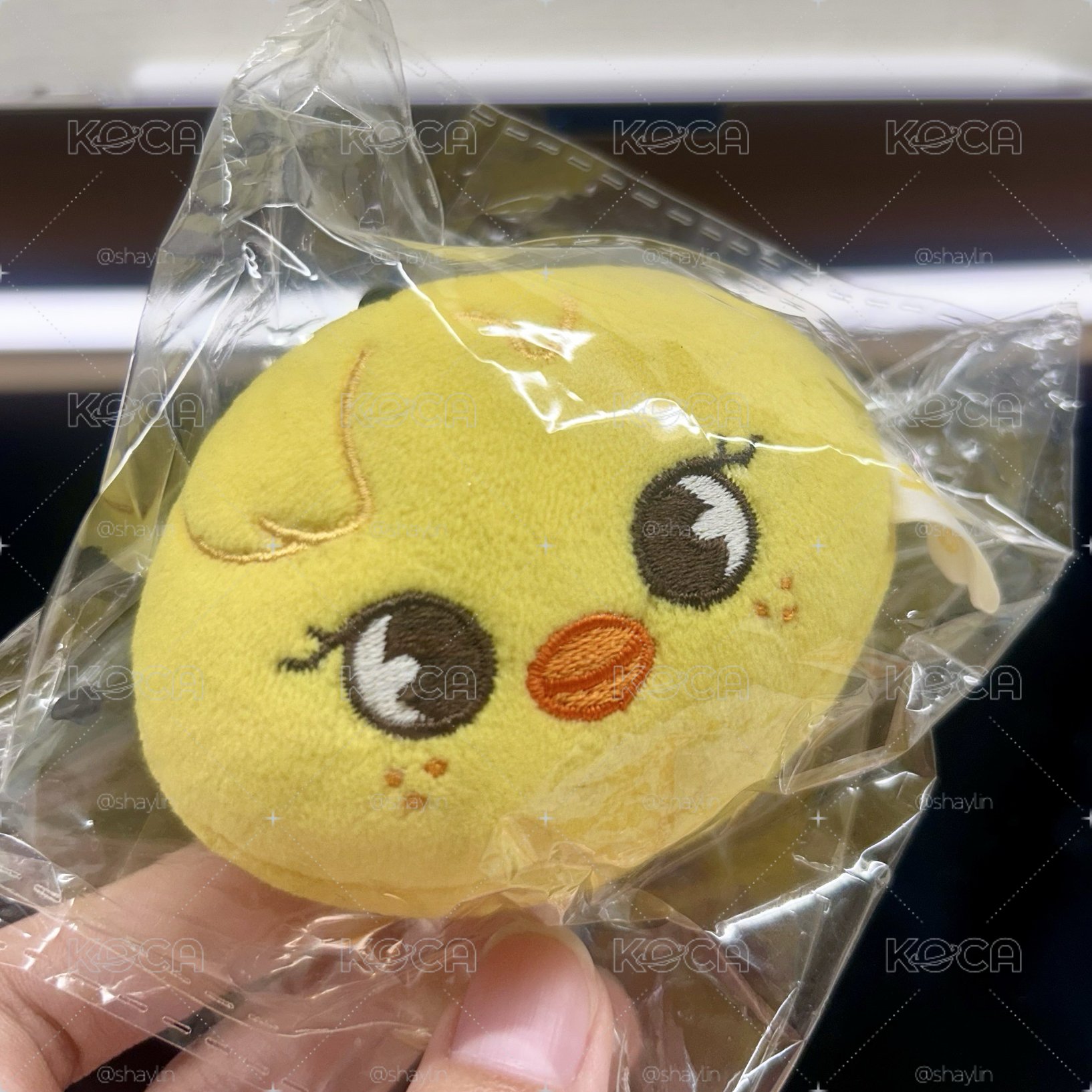 BBOKARI FELIX MINI FACE KEYCHAIN