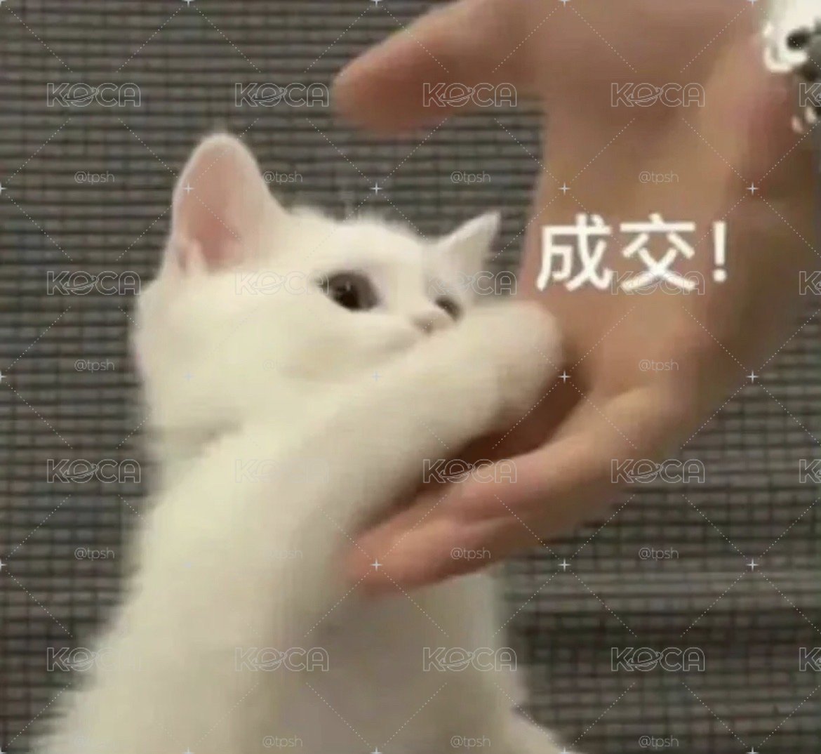 賣場公告📣