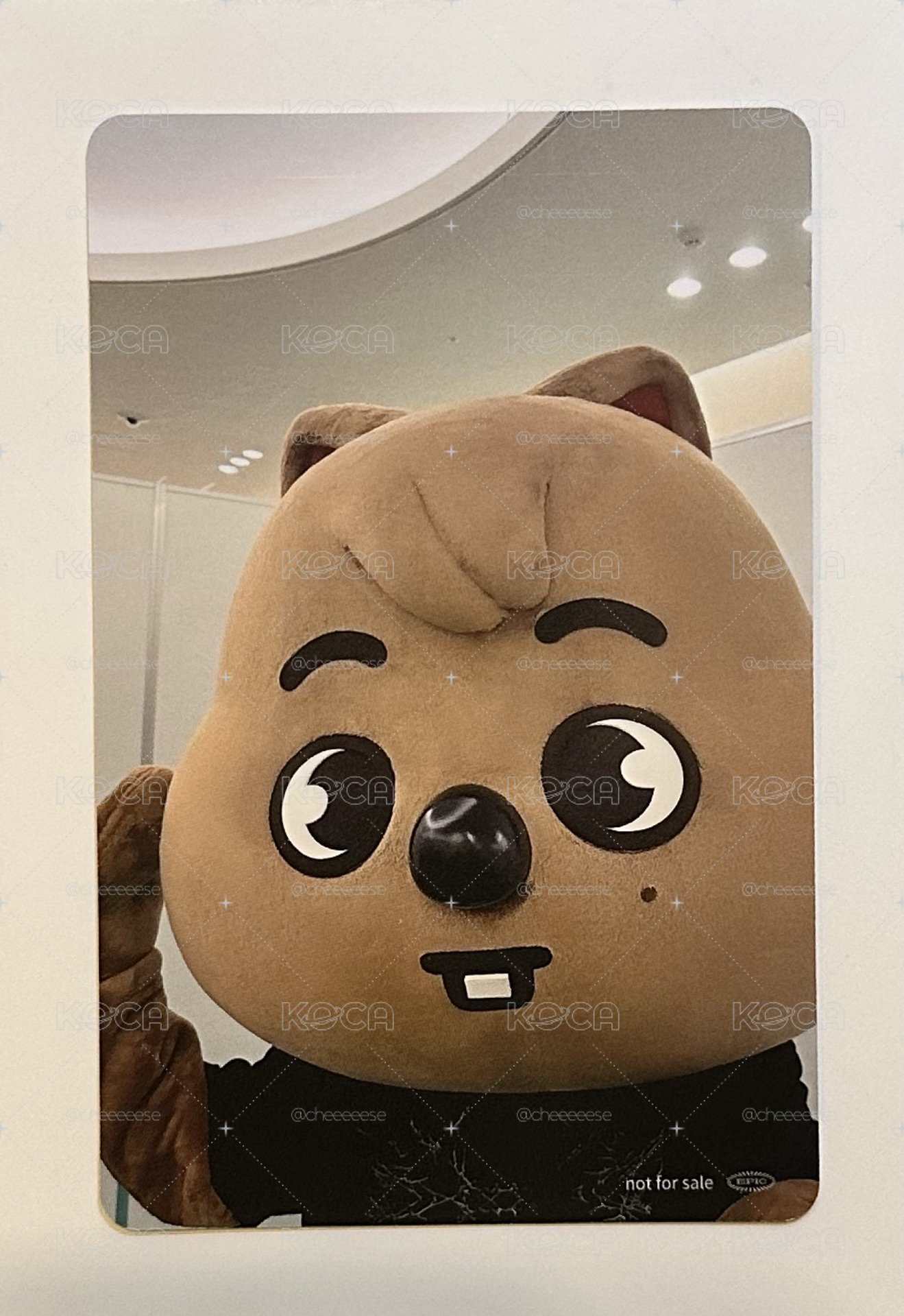 ✅Hollow特典-塔店城