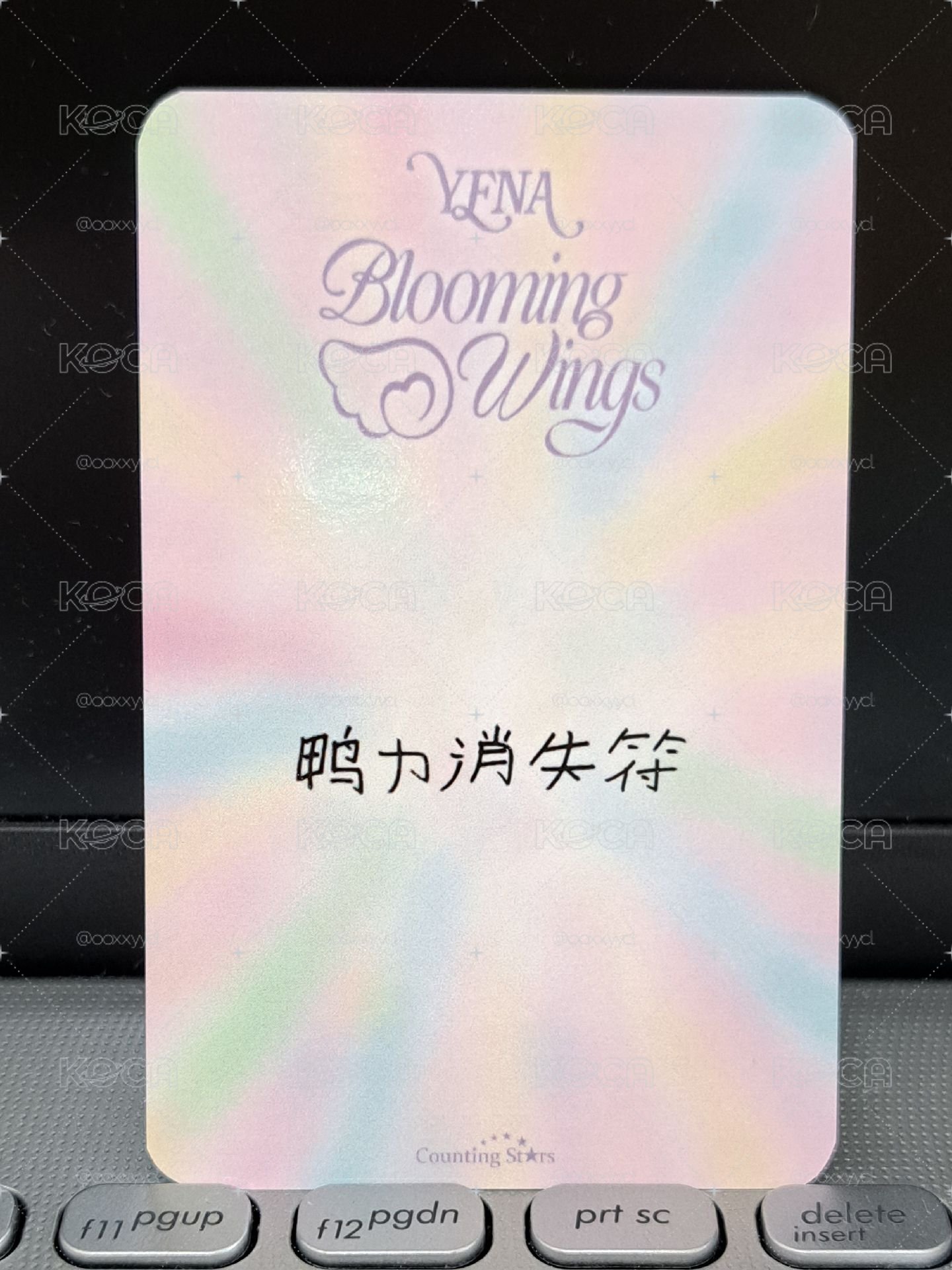 數星星 學士服 YENA 鴨力消失符